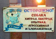 Популярное